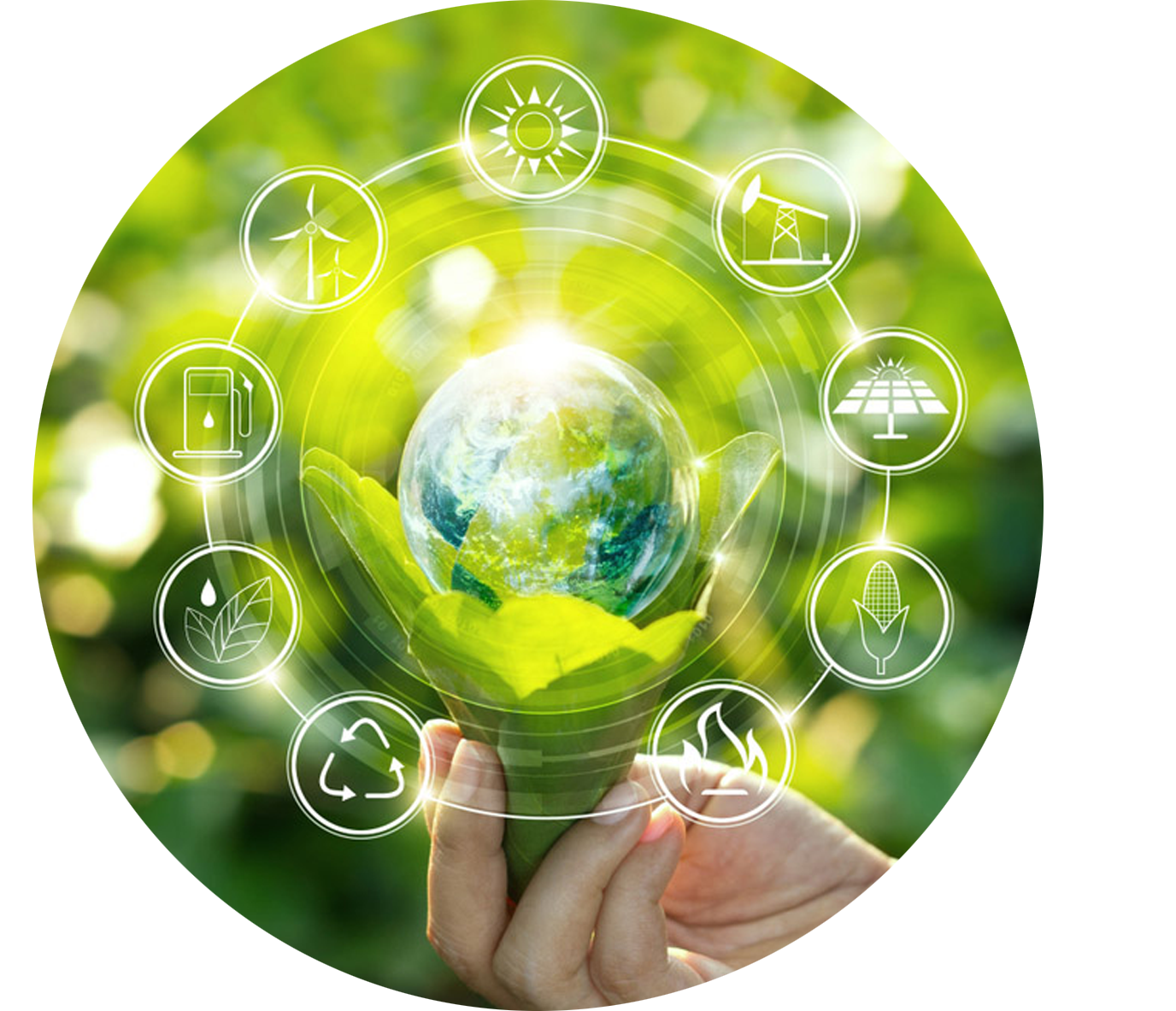 Graphic of eco chart